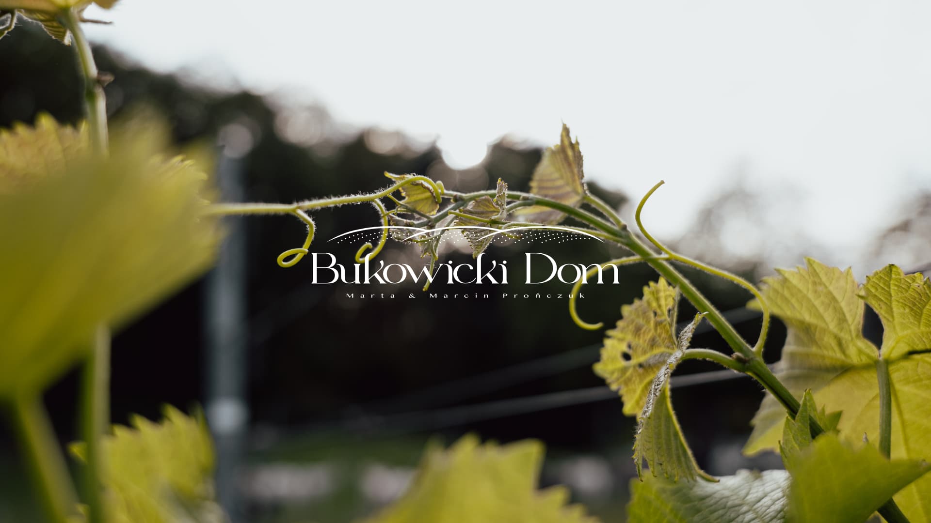 bukowicki dom realizacja brandingu