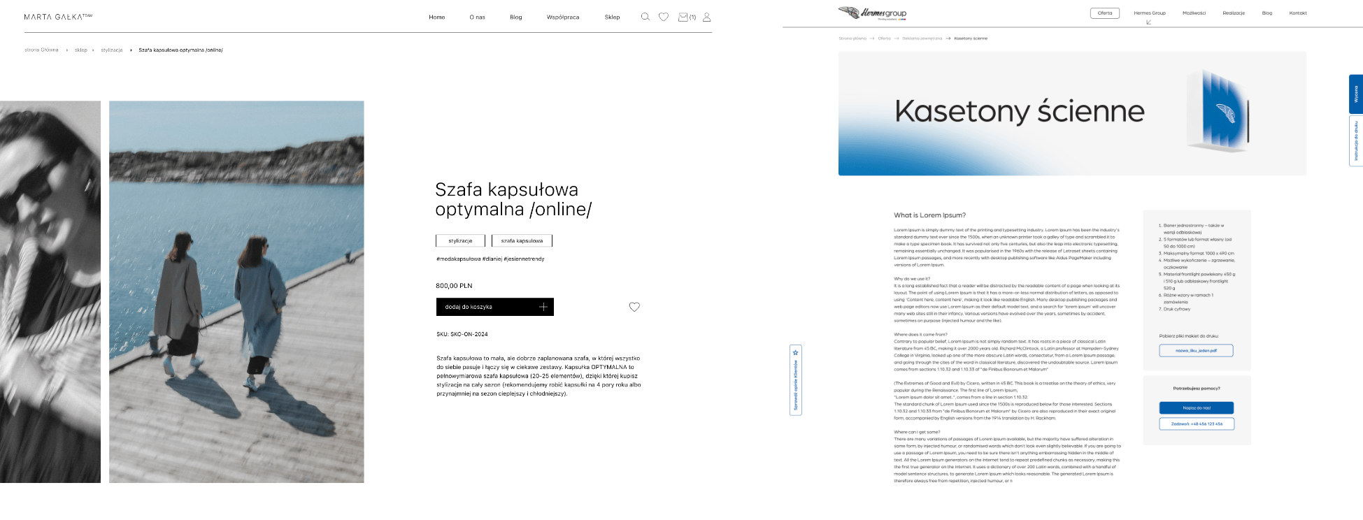 METODYKA PRACY PRZY TWORZENIU SKLEPOW INTERNETOWYCH_PRZYKLADY REALIZACJI