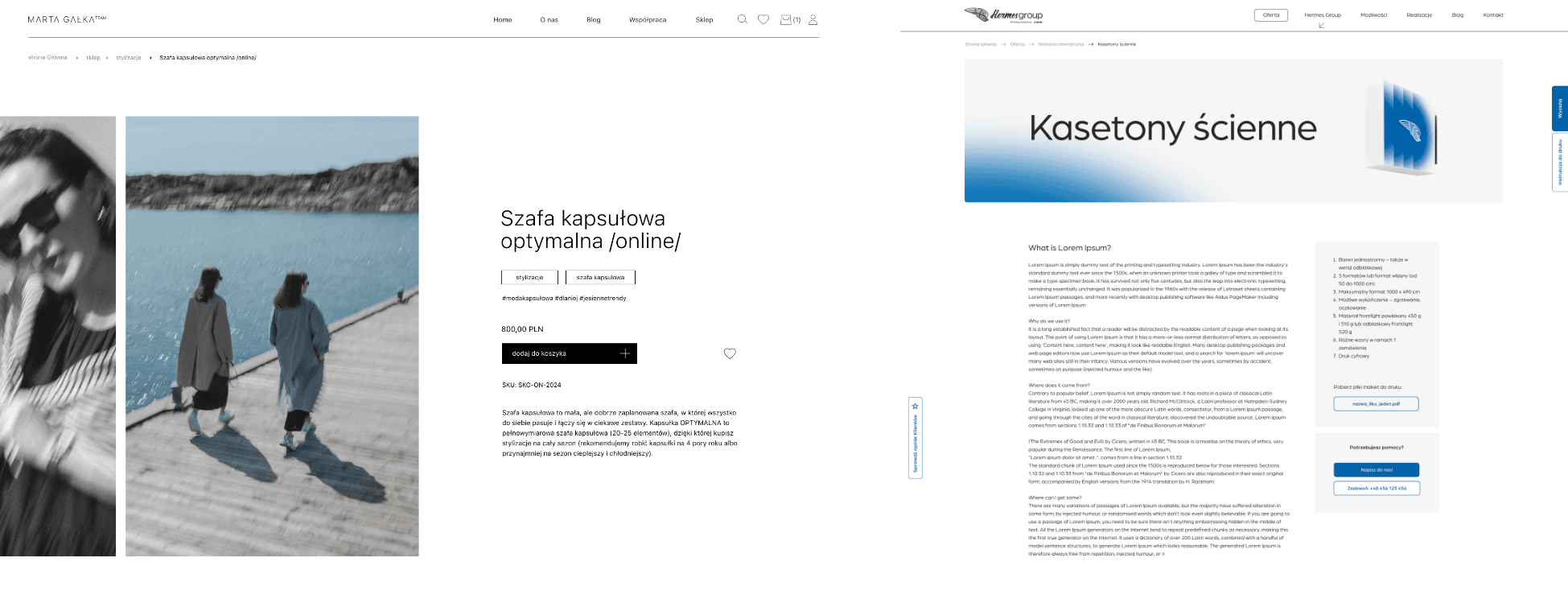 METODYKA PRACY PRZY TWORZENIU SKLEPOW INTERNETOWYCH_PRZYKLADY REALIZACJI